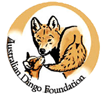 charity-logo